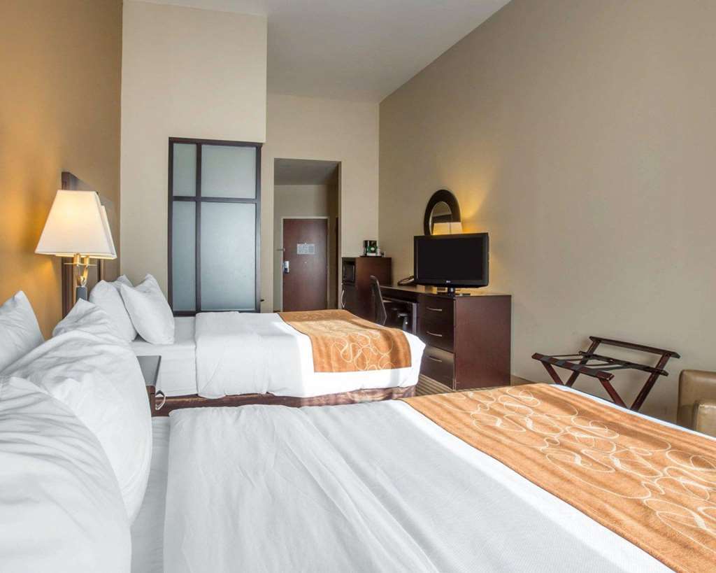 Comfort Suites Mcdonough Atlanta South Pokój zdjęcie